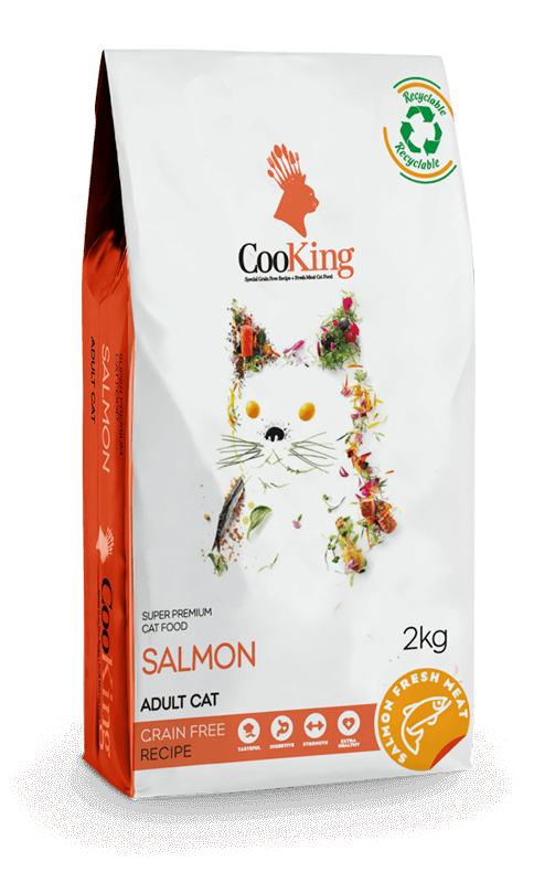 COOKING DRY DOG FOOD SALMON ADULT ALL BREEDS GRAIN FREE RECIPE